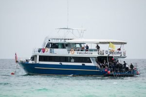 Sirolodive Phuket Diving Vessel